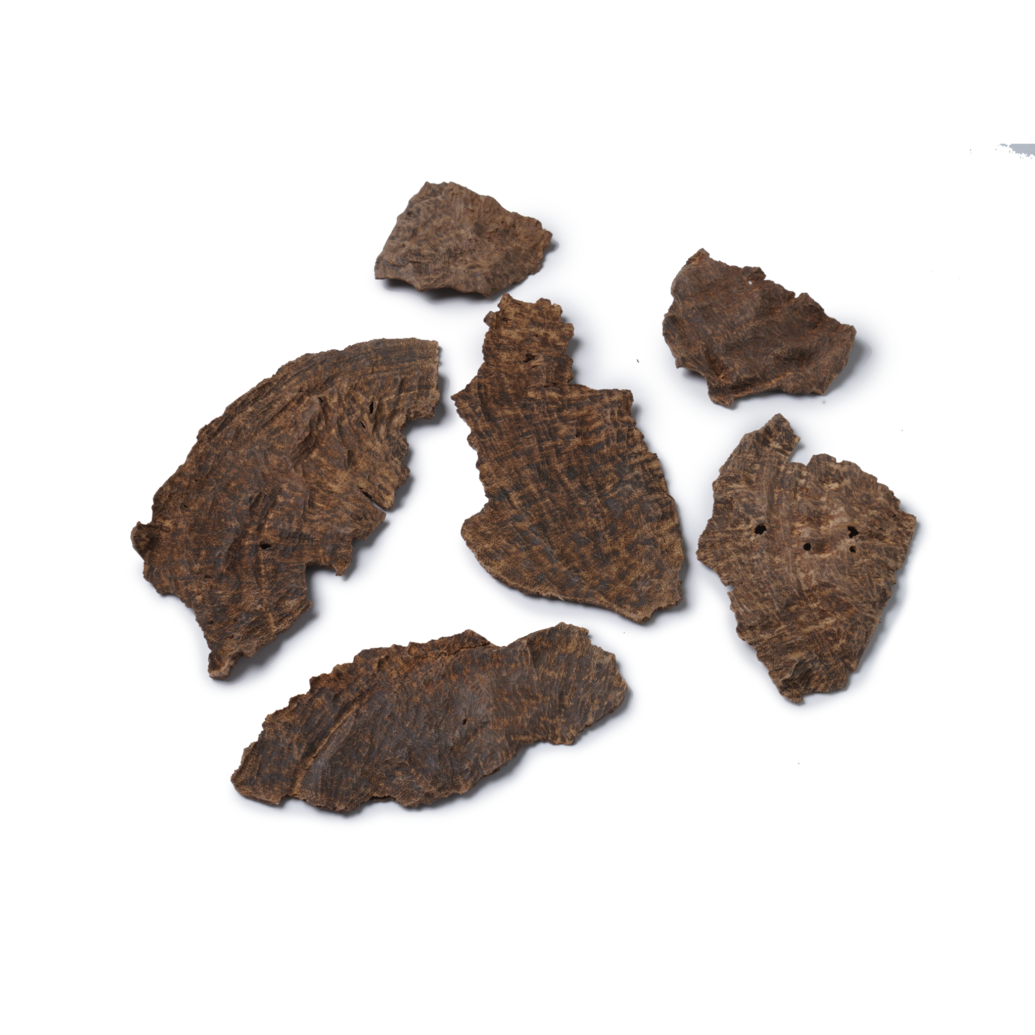 جار الدار الراية