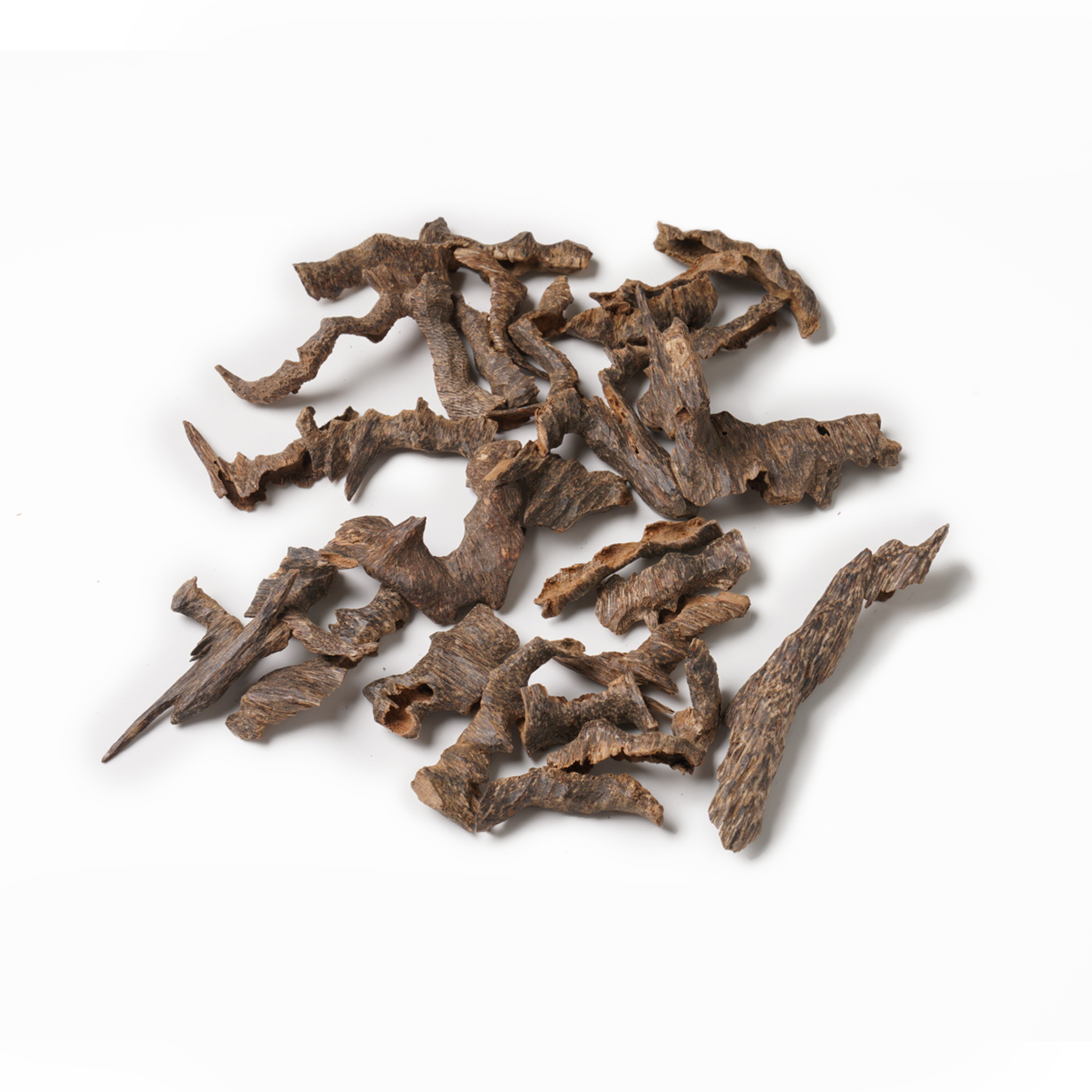 فيزا موري السور