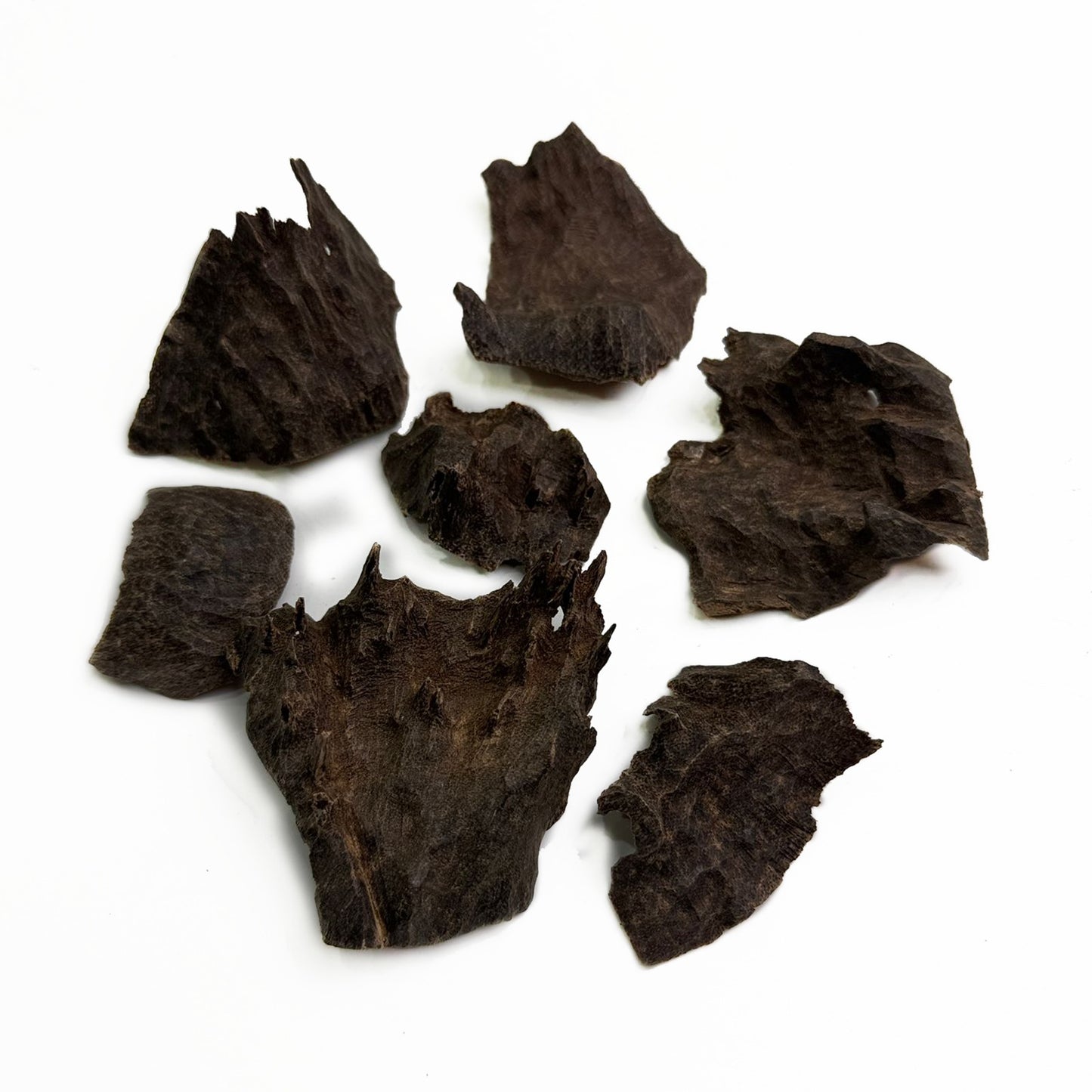 جار كل حزة السور