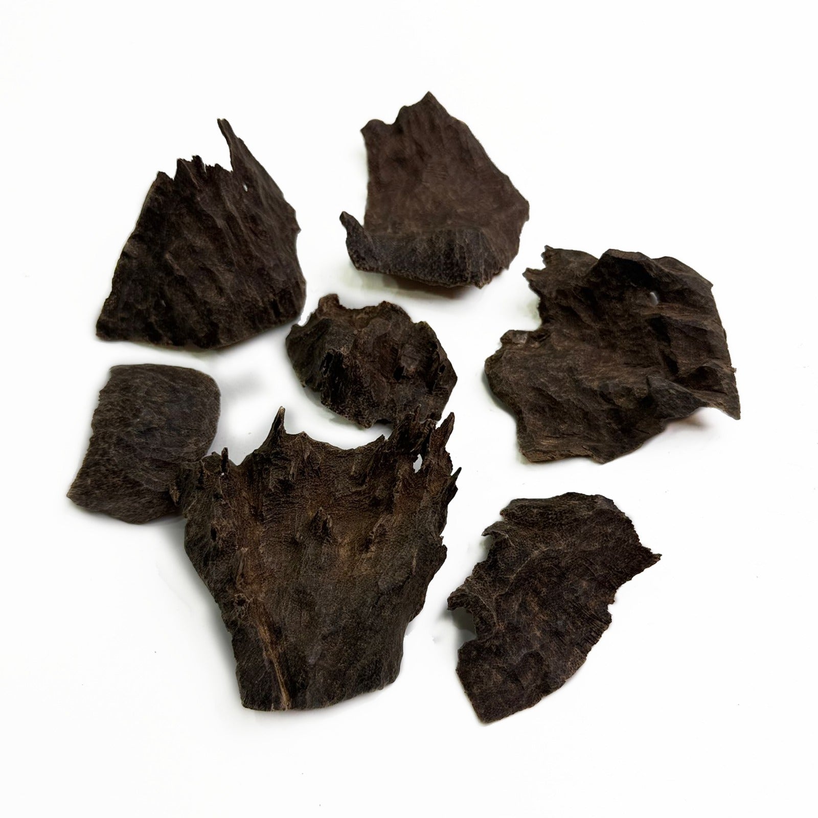 جار كل حزة السور